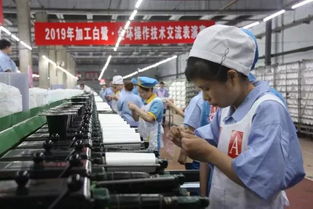 對(duì)手更是朋友 兩家化纖企業(yè)重啟同臺(tái)技術(shù)比武，以交流促發(fā)展